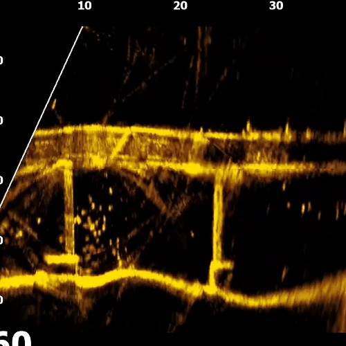 Датчик ActiveTarget™ Live Sonar
