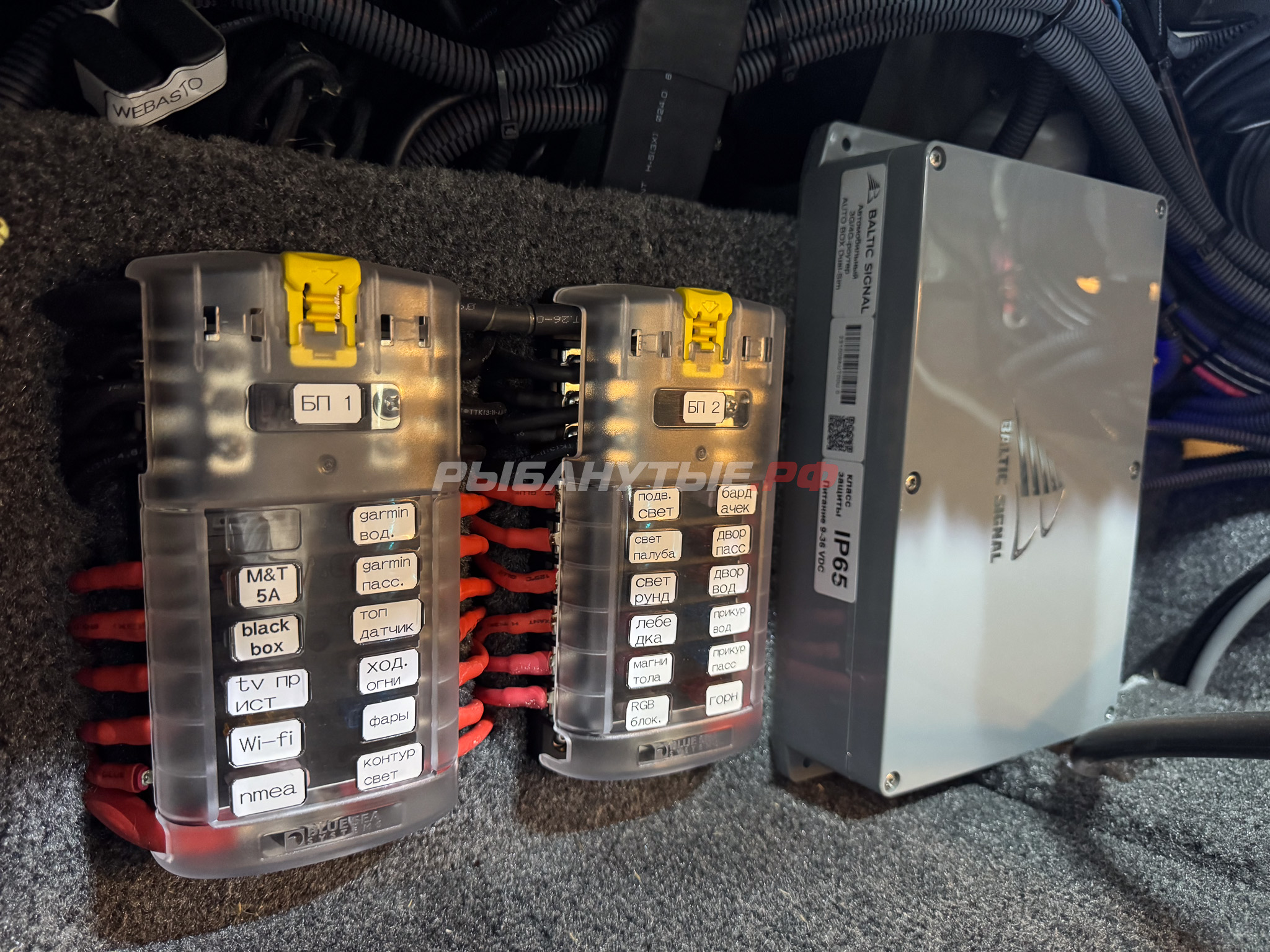 Лодка Росомаха R6000S + Mercury Optimax 200 + прицеп на катере — пример установки, Рыбанутые.РФ