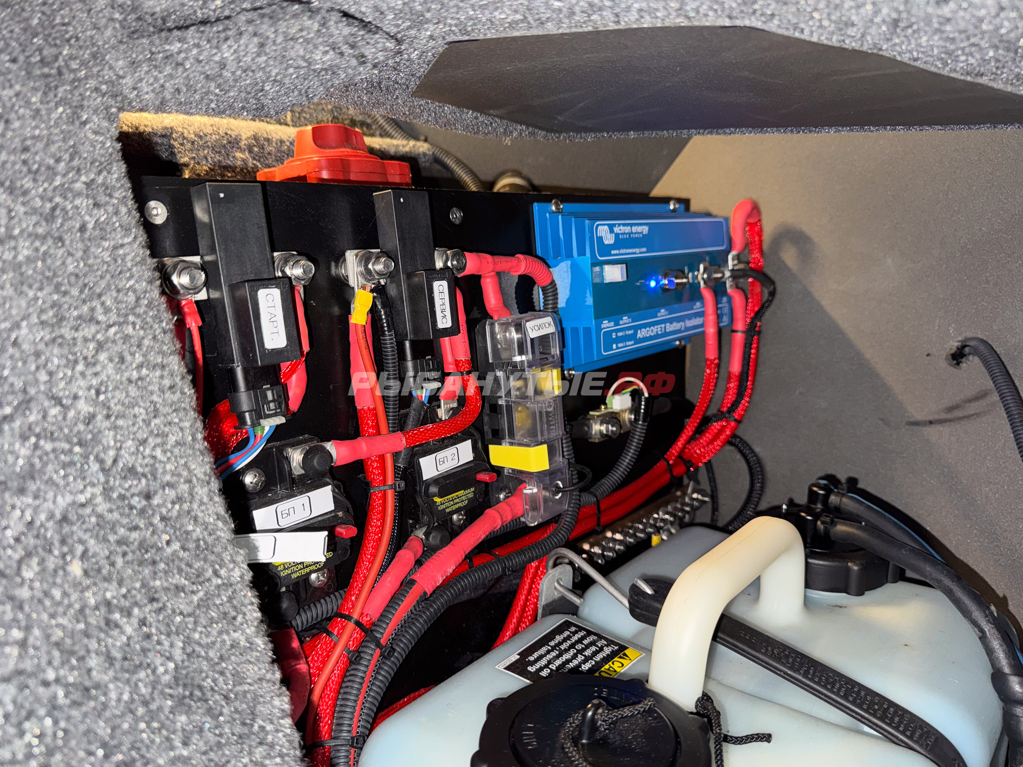 Лодка Росомаха R6000S + Mercury Optimax 200 + прицеп на катере — пример установки, Рыбанутые.РФ